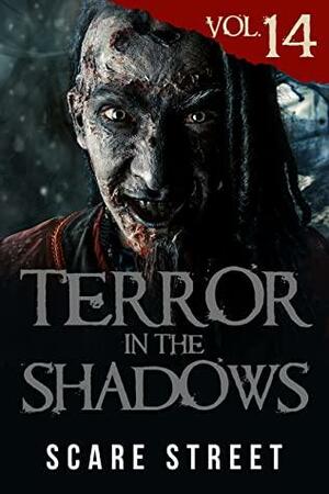 Terror in the Shadows Vol. 14: Horror Short Stories Collection with Scary Ghosts, Paranormal & Supernatural Monsters by Sara Clancy, David Longhorn, Ron Ripley, Simon Cluett, Scare Street, Ian Fortey, Ryan C. Robert