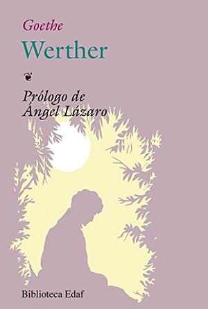 Werther by Martin Swales