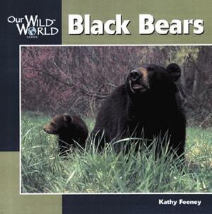 Black Bear by Kathy Feeney