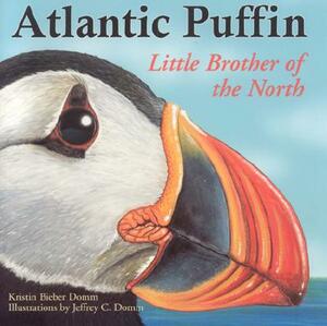 Atlantic Puffin - Little Brother of the North by Kristin Bieber Domm