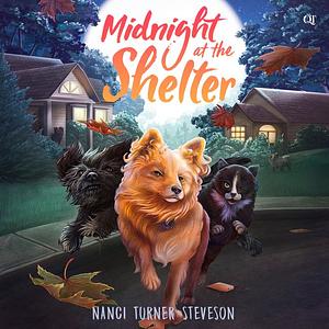 Midnight at the Shelter by Nanci Turner Steveson