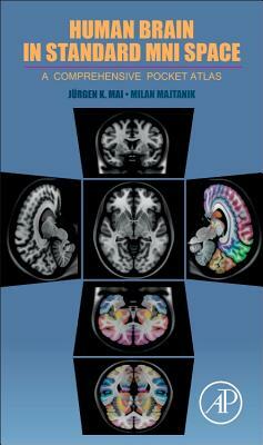 Human Brain in Standard Mni Space: A Comprehensive Pocket Atlas by Juergen K. Mai, Milan Majtanik