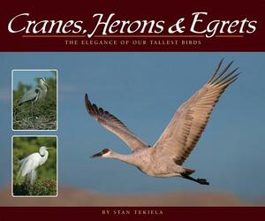 Cranes, Herons & Egrets: The Elegance of Our Tallest Birds by Stan Tekiela