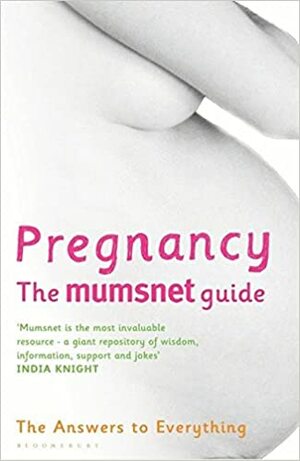 Pregnancy: The Mumsnet Guide: The Answers To Everything: A Million Mums' Trade Secrets by Morag Preston, Justine Roberts, Carrie Longton