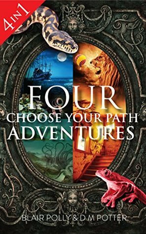Box Set: Four You Say Which Way Adventures: Pirate Island, In the Magician's House, Lost in Lion Country, Once Upon an Island by D.M. Potter, Blair Polly