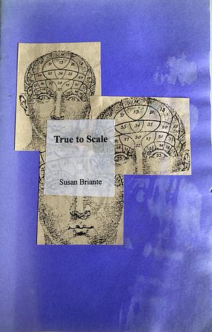 True to Scale by Susan Briante