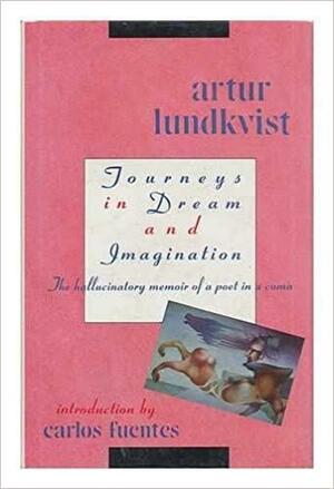 Journeys in Dream and Imagination: The Hallucinatory Memoir of a Poet in a Coma by Carlos Fuentes, Artur Lundkvist