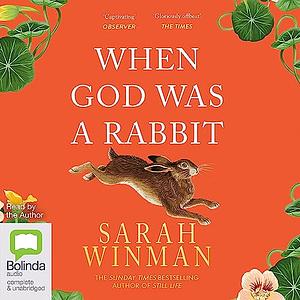 When God Was a Rabbit by Sarah Winman