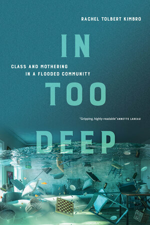 In Too Deep: Class and Mothering in a Flooded Community by Rachel Kimbro