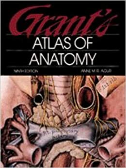 Grant's Atlas of Anatomy by Anne M.R. Agur, Ming J. Lee, R. Wilkins Williams, James E. Anderson