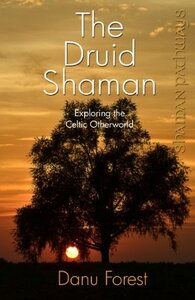 Shaman Pathways - The Druid Shaman: Exploring the Celtic Otherworld by Danu Forest