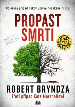 Propast smrti by Robert Bryndza