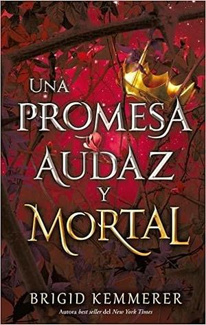 Una promesa audaz y mortal by Brigid Kemmerer