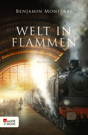 Welt in Flammen by Benjamin Monferat