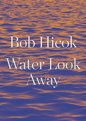 Water Look Away by Bob Hicok