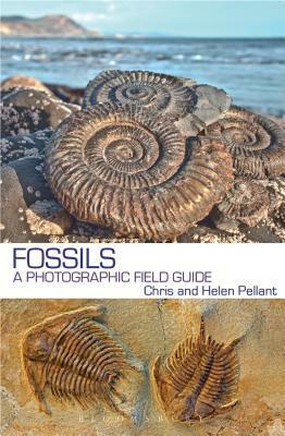 Fossils: A Photographic Field Guide by Chris Pellant, Helen Pellant