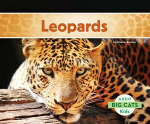 Leopards by Claire Archer