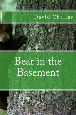 Bear in the Basement by David Chaltas