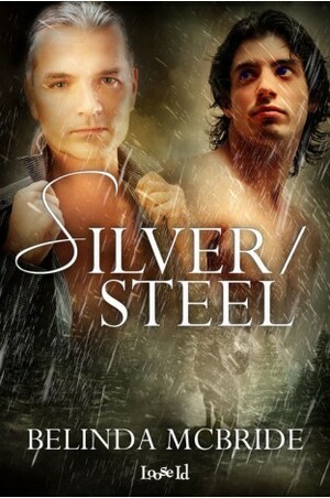 Silver/Steel by Belinda McBride