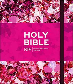 NIV Ruby Journalling Bible by New International Version