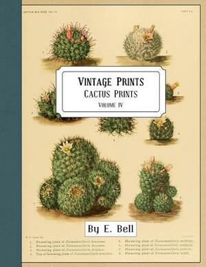 Vintage Prints: Cactus Prints by E. Bell