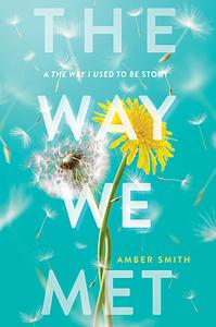 The Way We Met by Amber Smith