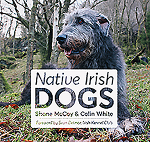 Native Irish Dogs by Shane McCoy, Colin White