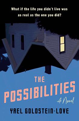 The Possibilities by Yael Goldstein-Love