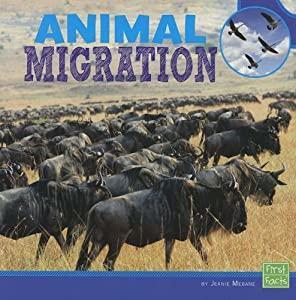 Animal Migration by Jeanie Mebane