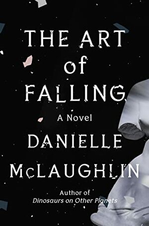 The Art of Falling by Danielle McLaughlin