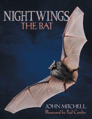Nightwings the Bat by John Mitchell
