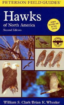 Hawks of North America by William S. Clark, Brian K. Wheeler