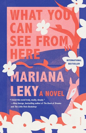 What You Can See from Here: A Novel by Mariana Leky