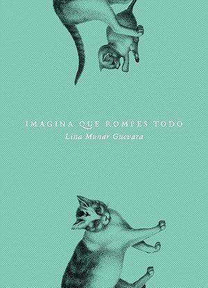 Imagina que rompes todo by Lina Munar Guevara