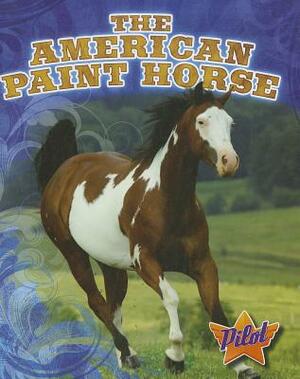 The American Paint Horse by Rachel Grack