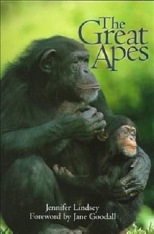 The Great Apes by Jennifer Lindsey