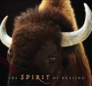 The Spirit of Healing: Stories, Wisdoms, and Practices from Native America by Lewis Mehl-Madrona