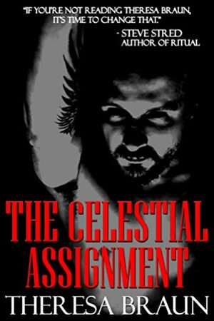 The Celestial Assignment by Theresa Braun