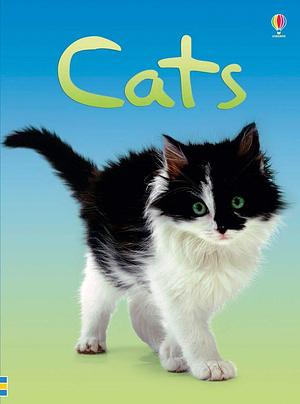 Cats REVISED by Anna Milbourne, Anna Milbourne