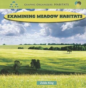 Examining Meadow Habitats by Zelda King