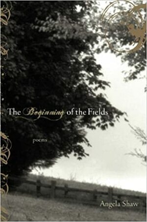 The Beginning of the Fields by Angela Shaw