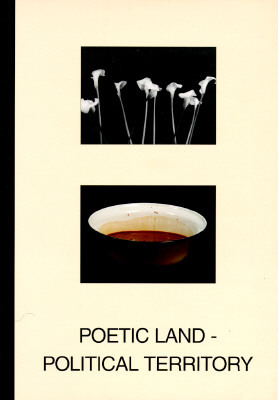 Poetic Land, Political Territory: Contemporary Art from Ireland by David Brett
