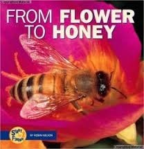 From Flower To Honey (Start to Finish: Nature's Cycles) by Robin Nelson