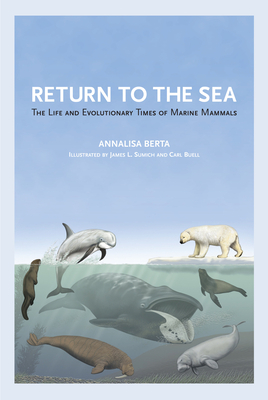 Return to the Sea: The Life and Evolutionary Times of Marine Mammals by Annalisa Berta