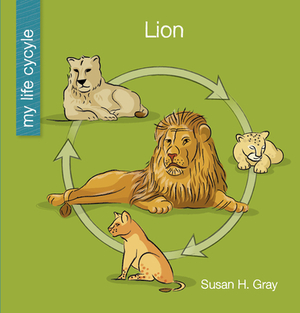 Lion by Susan H. Gray