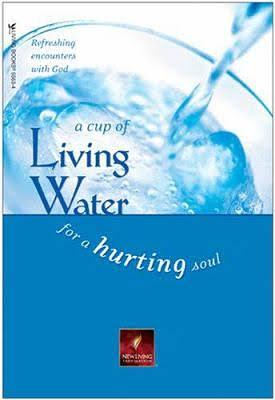 a cup of Living Water for a hurting soul by Neil S. Wilson, David R. Veerman