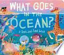 What Goes in the Ocean?: A Seek-and-Find Book by Dori Elys