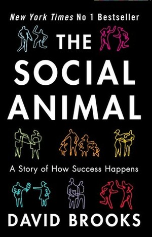 The Social Animal: A Story of How Success Happens by David Brooks