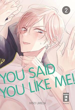 You Said You Like Me! 02 by Miso Umeda