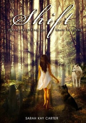 Shift by Sarah Kay Carter